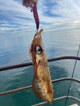 Load image into Gallery viewer, Red Tiger 3.0 Squid Jig
